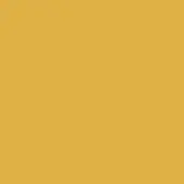 Mustard yellow color swatch, matte finish, uniform tone, saturated hue, consistent flat surface, warm color, solid background, digital sample.